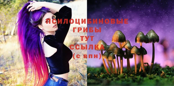 Альфа ПВП Балабаново