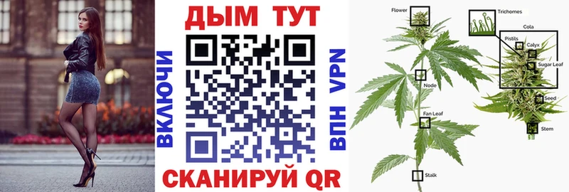Канабис LSD WEED  сайты даркнета официальный сайт  Оса  купить  